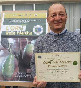 oro-delle-marche-podere2